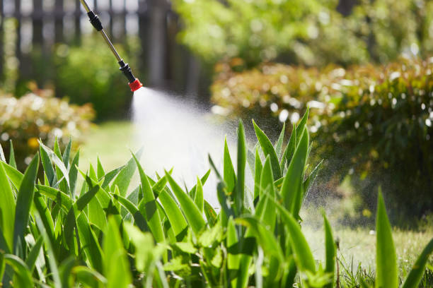 24/7 Emergency Mosquito Control experts in Kingman, AZ