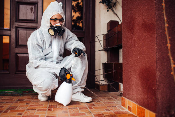 Reliable Mosquito Control contractor in Kingman, AZ by Show Me Pest Control